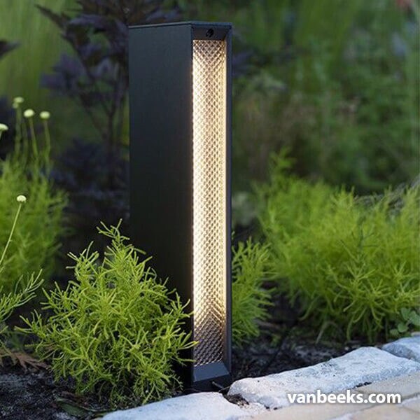 in-lite EVO Low 12v Preview